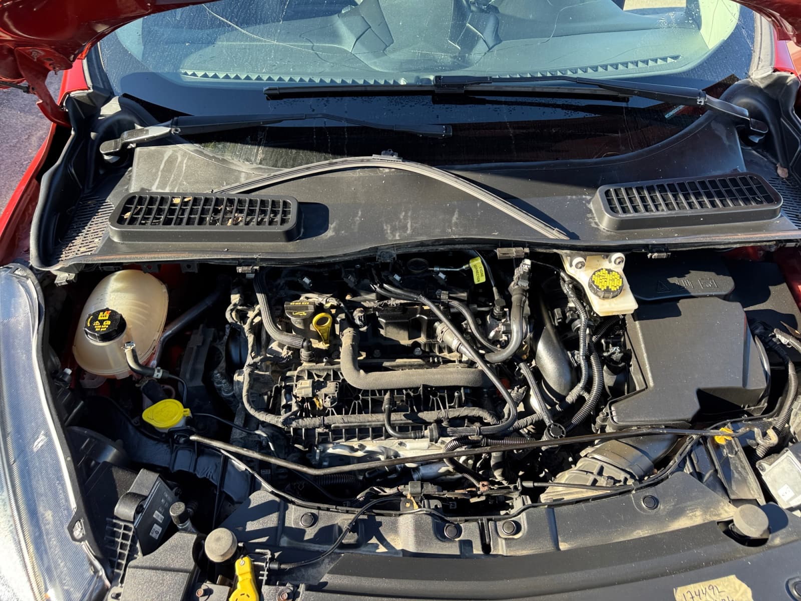 2019 Ford Escape SEL 4WD