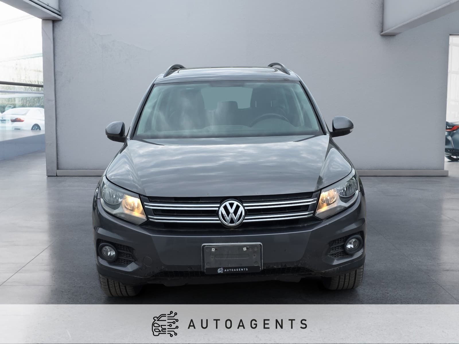 2013 Volkswagen Tiguan S