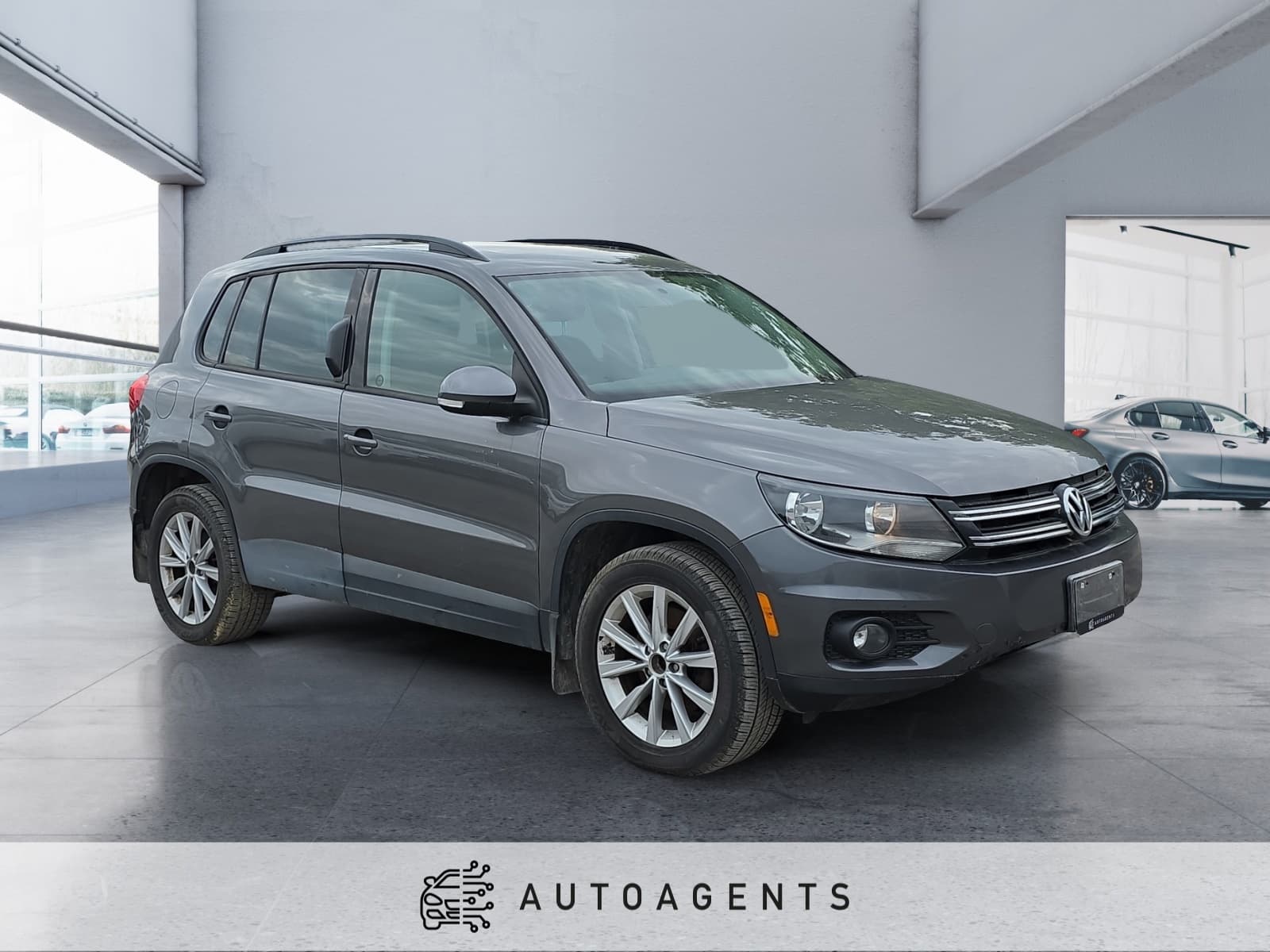 2013 Volkswagen Tiguan S