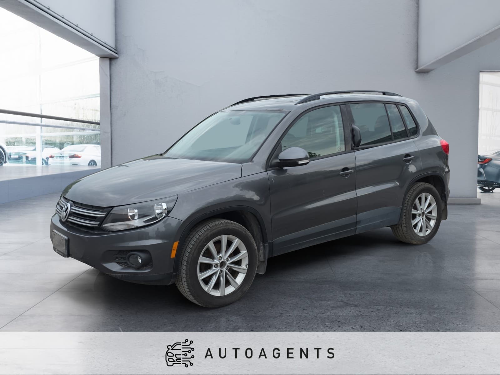 2013 Volkswagen Tiguan S